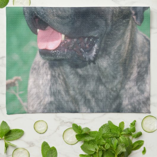 Brindle Mastiff-HundeGeschirrtuch Geschirrtuch (Gefaltet)