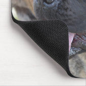 Brindle Mastiff Mousepad (Ecke)