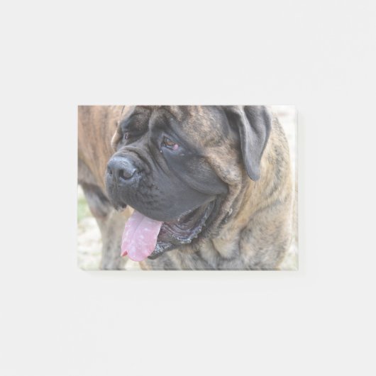 Brindle Mastiff Post-it Klebezettel (Vorderseite)
