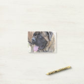 Brindle Mastiff Post-it Klebezettel (Auf Schreibtisch)