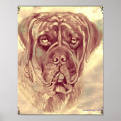 Brindle Mastiff Poster von Carol Zeock (Vorne)