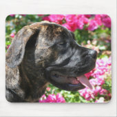 Brindle Mastiff-Welpe mousepad (Vorne)