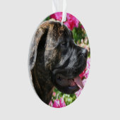 Brindle Mastiffwelpe Ornament (Vorderseite)