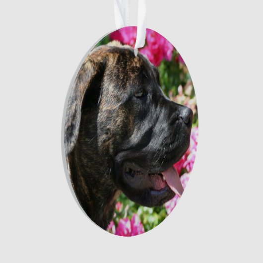 Brindle Mastiffwelpe Ornament (Vorderseite)