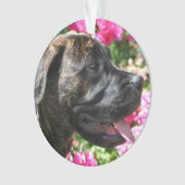 Brindle Mastiffwelpe Ornament (Vorderseite)