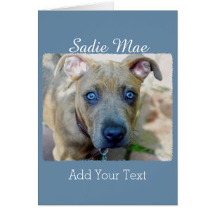 Brindle Pit Bull Puppy von Shirley Taylor