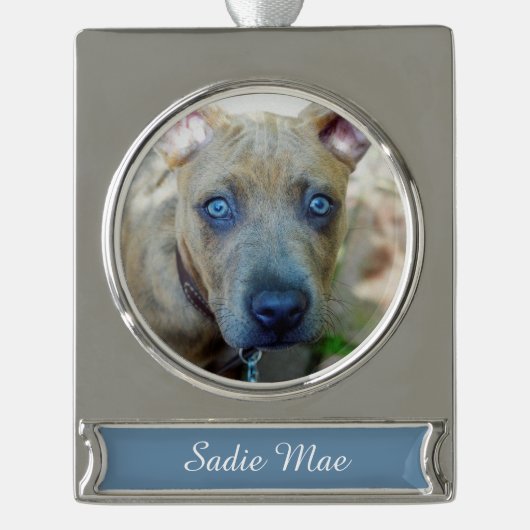 Brindle Pit Bull Puppy von Shirley Taylor Banner-Ornament Silber (Vorderseite)