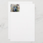 Brindle Pit Bull Puppy von Shirley Taylor Briefpapier (Vorne/Hinten)