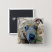 Brindle Pit Bull Puppy von Shirley Taylor Button (Vorne & Hinten)