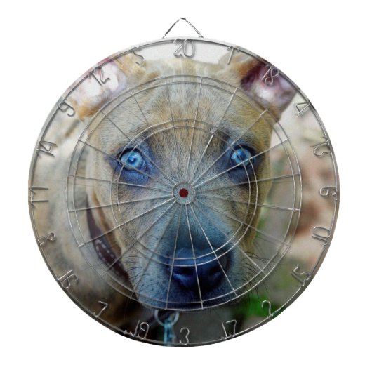 Brindle Pit Bull Puppy von Shirley Taylor Dartscheibe (vorne)