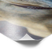 Brindle Pit Bull Puppy von Shirley Taylor Fotodruck (Ecke)