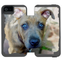 Brindle Pit Bull Puppy von Shirley Taylor