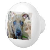 Brindle Pit Bull Puppy von Shirley Taylor Keramikknauf (Rechts)