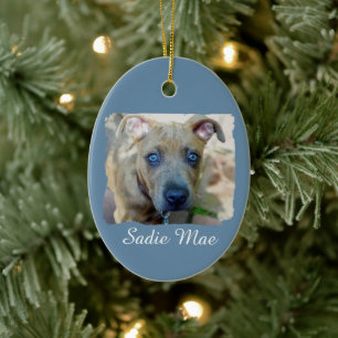 Brindle Pit Bull Puppy von Shirley Taylor Keramikornament