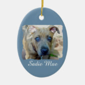 Brindle Pit Bull Puppy von Shirley Taylor Keramikornament (Vorne)