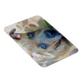 Brindle Pit Bull Puppy von Shirley Taylor Magnet (Rechte Seite)