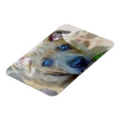 Brindle Pit Bull Puppy von Shirley Taylor Magnet (Linke Seite)