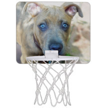 Brindle Pit Bull Puppy von Shirley Taylor