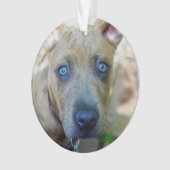 Brindle Pit Bull Puppy von Shirley Taylor Ornament (Vorderseite)