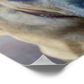 Brindle Pit Bull Puppy von Shirley Taylor Poster (Ecke)