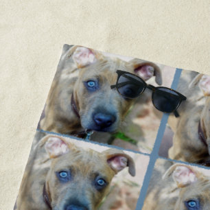 Brindle Pit Bull Puppy von Shirley Taylor Strandtuch