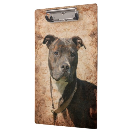 Brindle pitbull klemmbrett (Links)