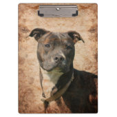 Brindle pitbull klemmbrett (Vorderseite)