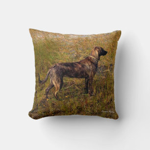 Brindle Plott Hound im Sumpf Wurf Kissen