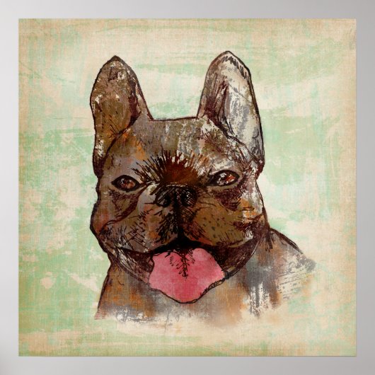 Brindle Poster (Vorne)