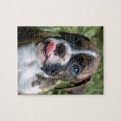 Brindle Puzzle (Horizontal)