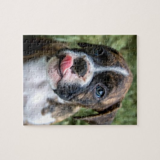 Brindle Puzzle (Horizontal)