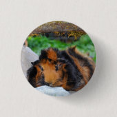 Brindle, Rosette Guinea Schweineunterkunft Außenbe Button (Vorderseite)