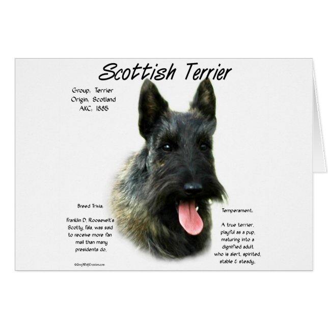 Brindle Scottish Terrier History (Vorderseite (Horizontal))