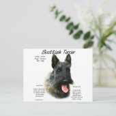 Brindle Scottish Terrier History Postkarte (Stehend Vorderseite)