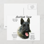 Brindle Scottish Terrier History Postkarte (Vorne/Hinten)