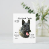 Brindle Scottish Terrier History Postkarte (Stehend Vorderseite)