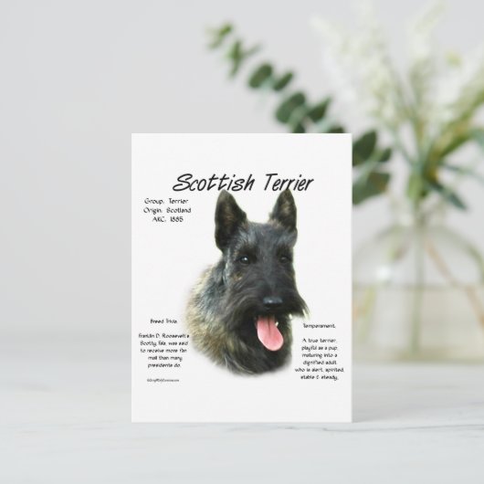 Brindle Scottish Terrier History Postkarte (Stehend Vorderseite)
