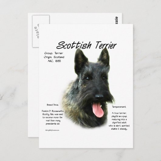 Brindle Scottish Terrier History Postkarte (Vorne/Hinten)