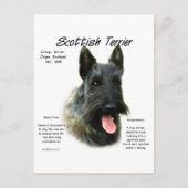 Brindle Scottish Terrier History Postkarte (Vorderseite)