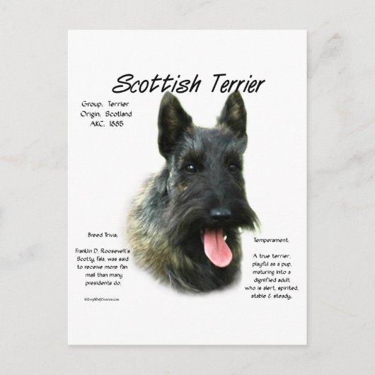 Brindle Scottish Terrier History Postkarte (Vorderseite)