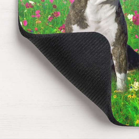 Brindle u. blaue Staffordshire- u. Pitbull-Hunde Mousepad (Ecke)