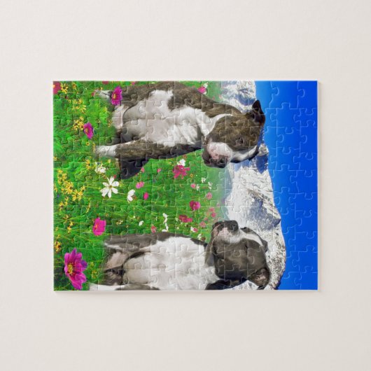 Brindle u. blaue Staffordshire- u. Pitbull-Hunde Puzzle (Horizontal)