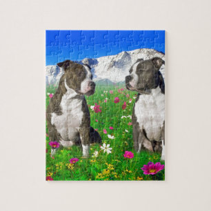 Brindle u. blaue Staffordshire- u. Pitbull-Hunde Puzzle