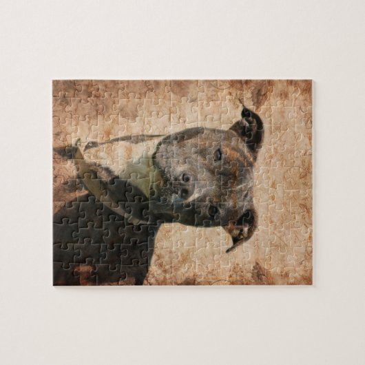 Brindle und weißer Pitbull Puzzle (Horizontal)