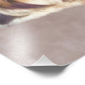 Brindle und White Shih Tzu Dog Fotodruck (Ecke)