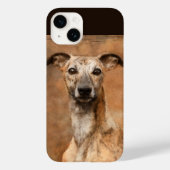 Brindle Whippet Dog Case-Mate iPhone Hülle (Rückseite)