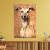 Brindle Whippet Dog Leinwanddruck (Insitu (Wohnzimmer))