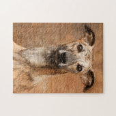 Brindle Whippet Dog | Schließung Puzzle (Horizontal)