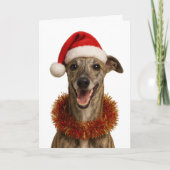 Brindle whippet in a Santa hat Christmas card Karte (Vorderseite)