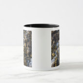 Brine fällt aus vulkanischem Gestein ab 2 Tasse (Zentrum)